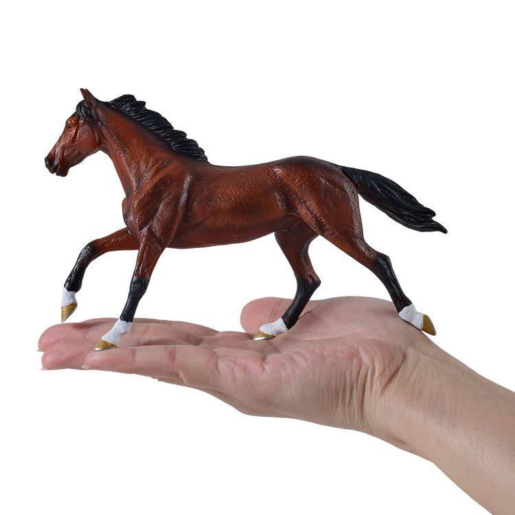 Thoroughbred