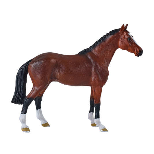 Dutch Warmblood