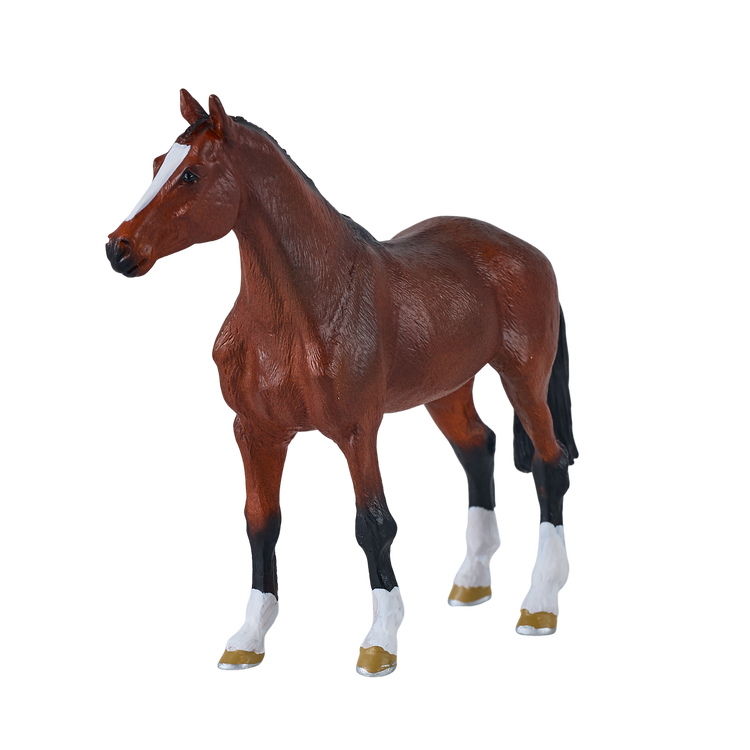 Dutch Warmblood