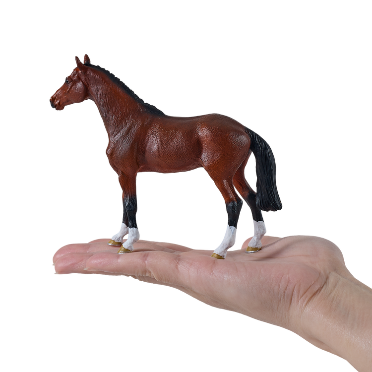 Dutch Warmblood
