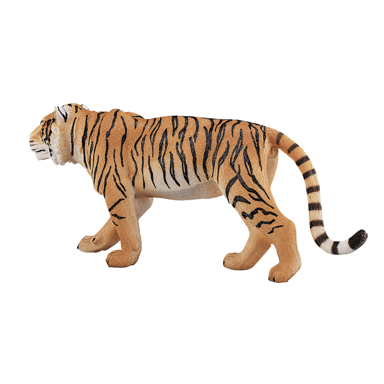 Bengal Tiger