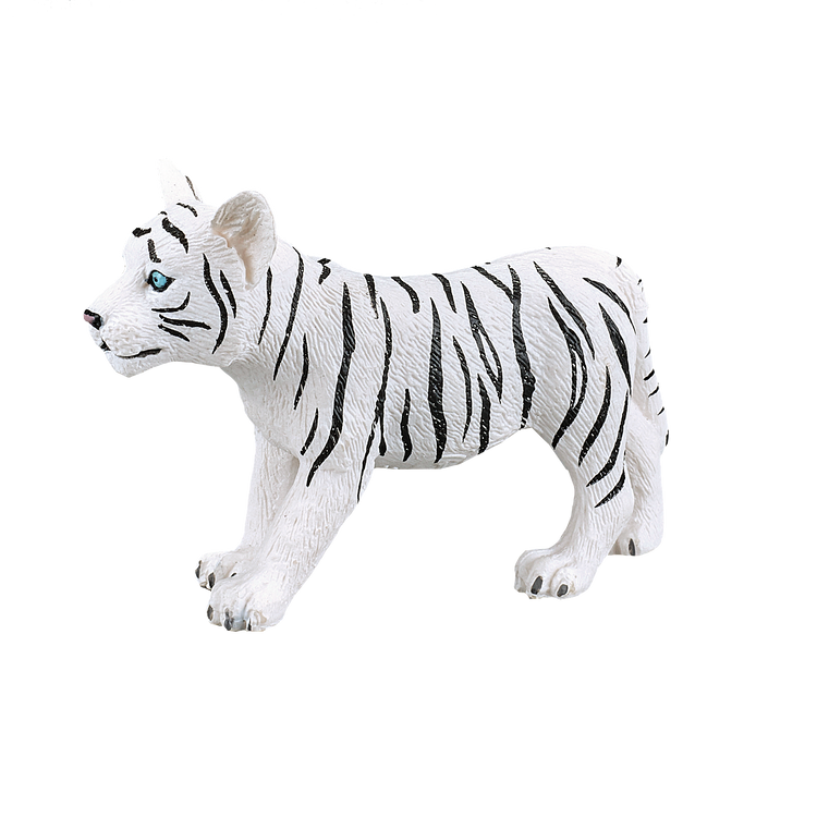 White Tiger cub standing