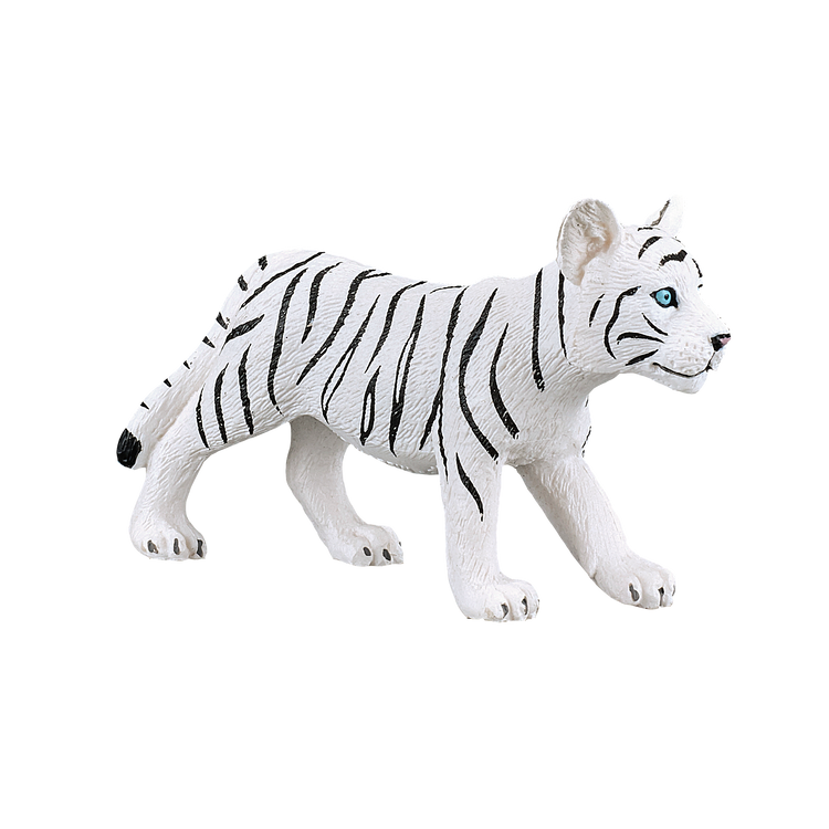 White Tiger cub standing