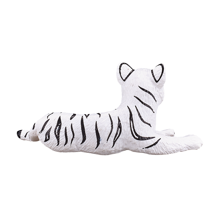 White Tiger cub laying down