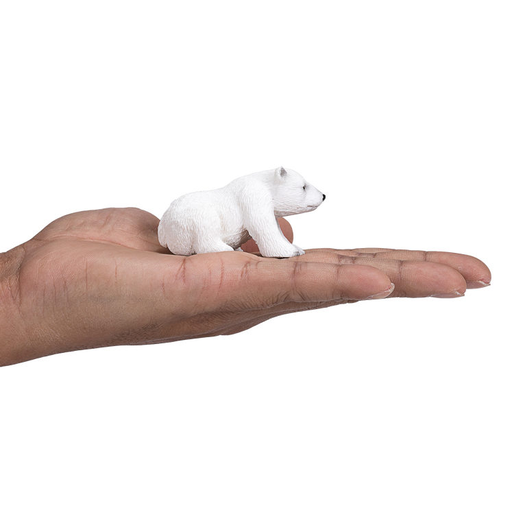 Polar bear cub Sitting