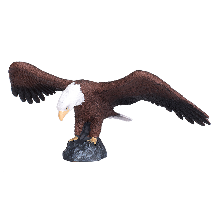 American Bald Eagle