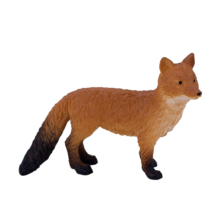 Red Fox