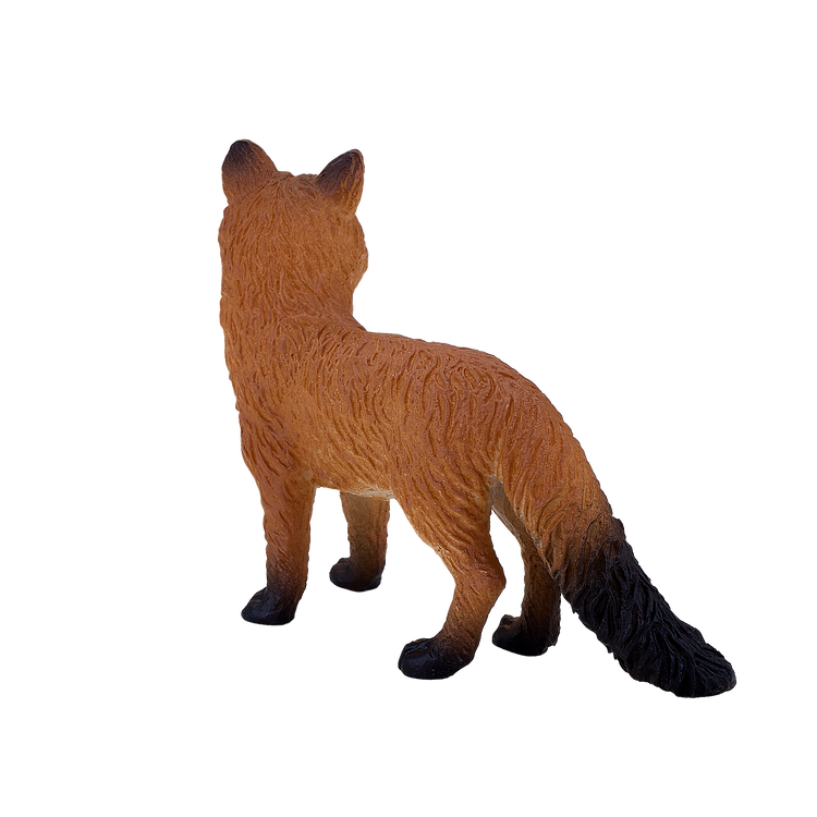 Red Fox