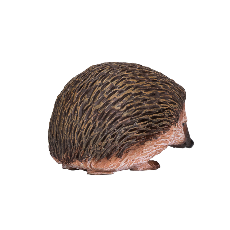 Hedgehog