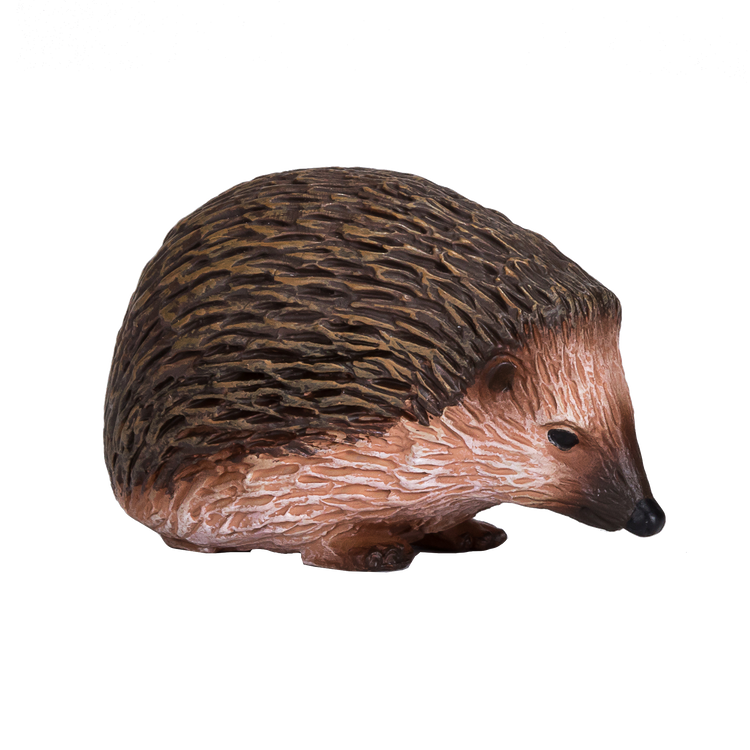 Hedgehog