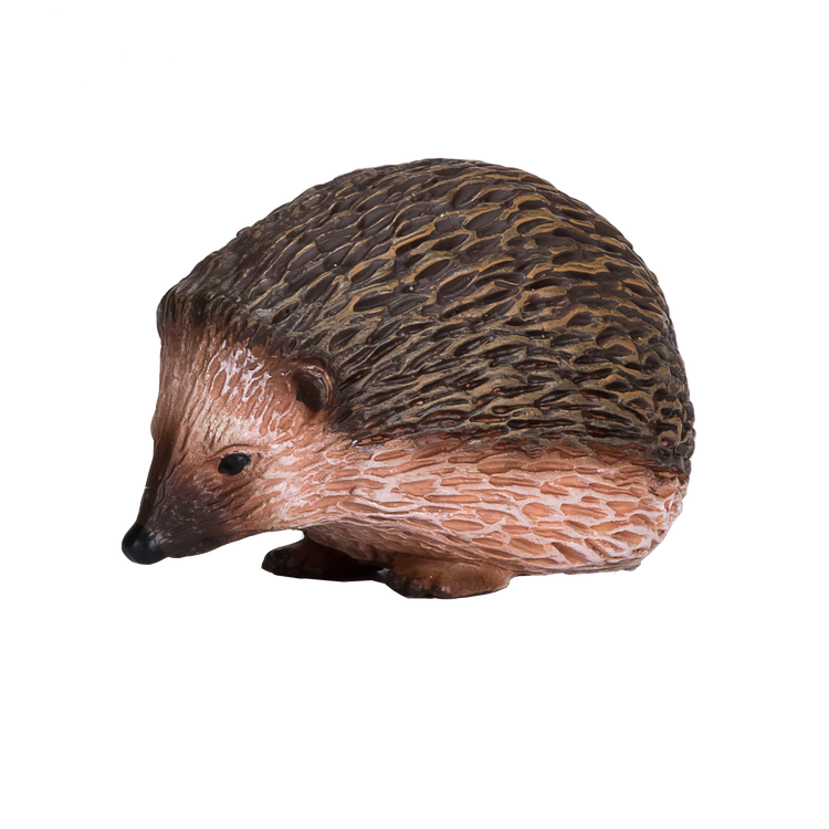 Hedgehog