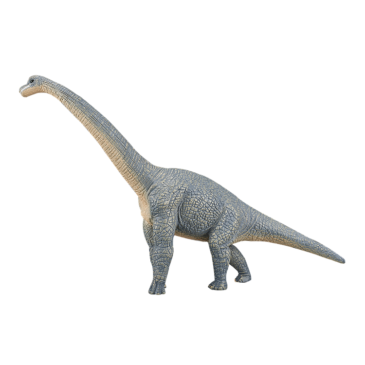 Brachiosaurus