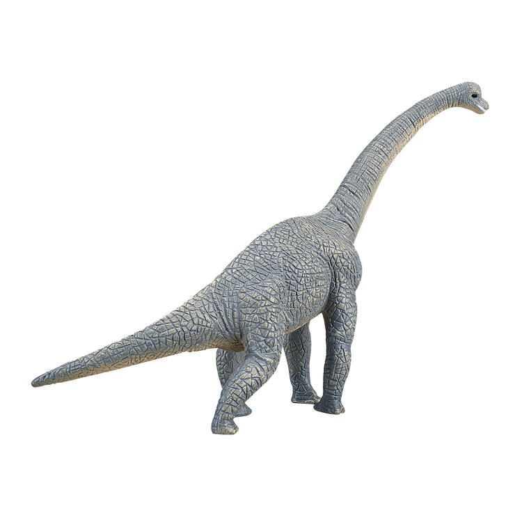 Brachiosaurus