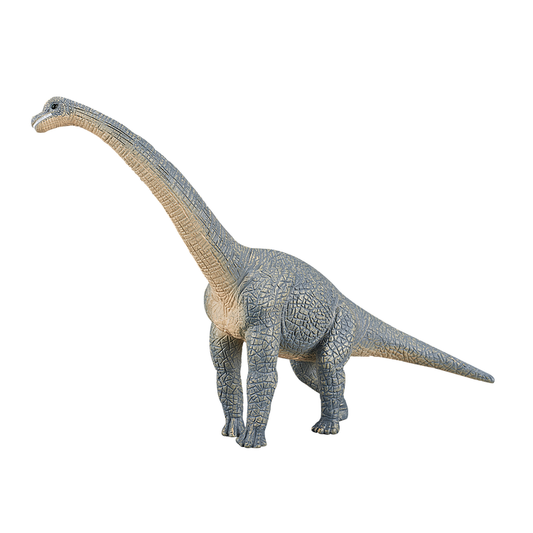 Brachiosaurus