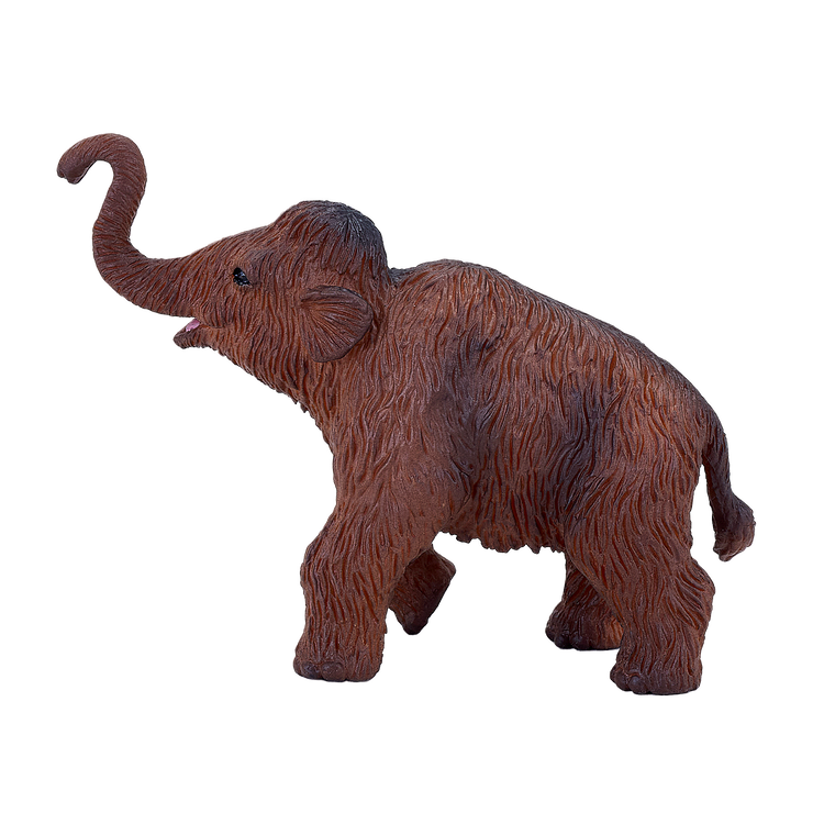 Woolly Mammoth Calf