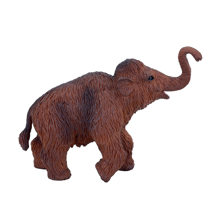 Woolly Mammoth Calf