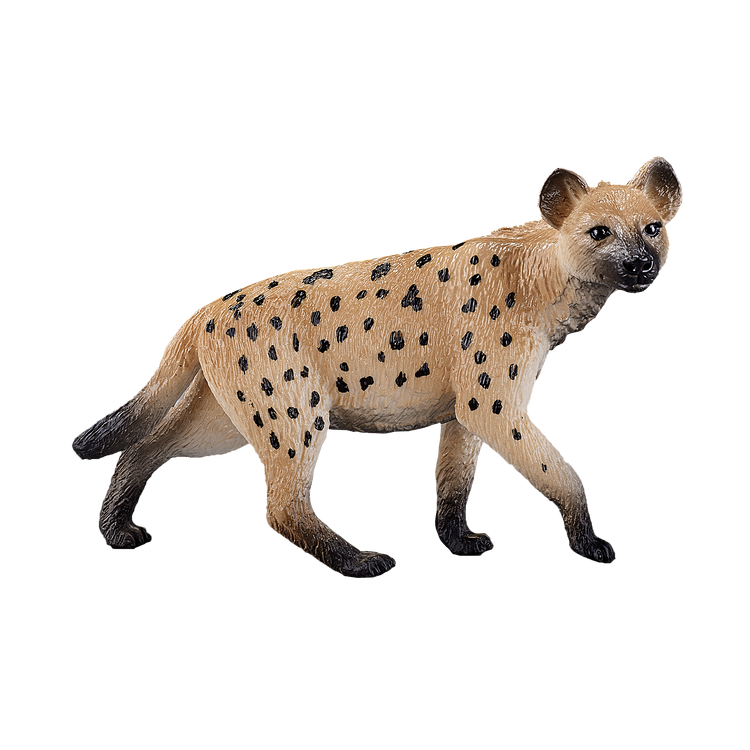 Hyena