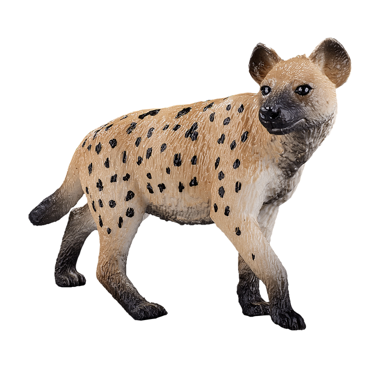 Hyena