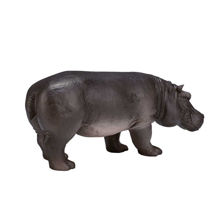 Hippopotamus Female