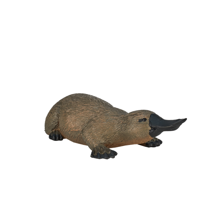 Duck Billed Platypus