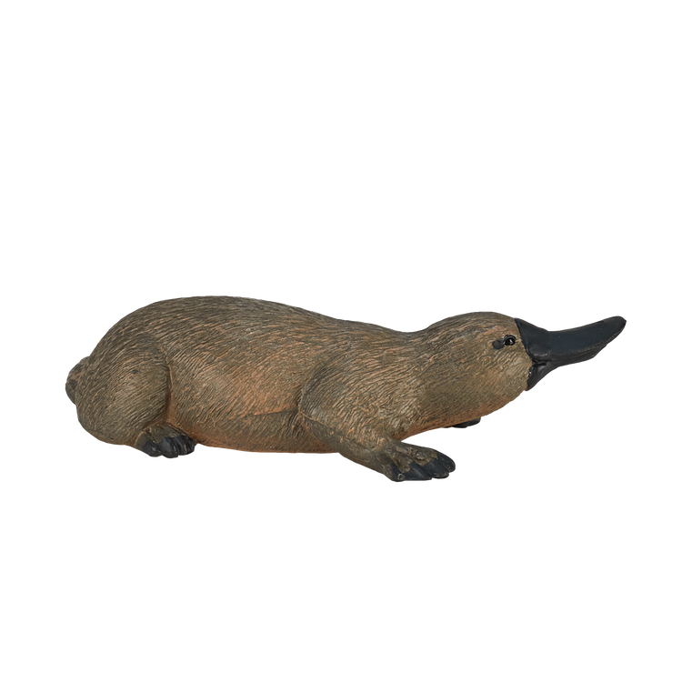 Duck Billed Platypus