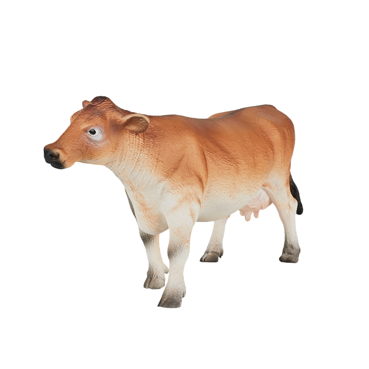 Jersey Cow