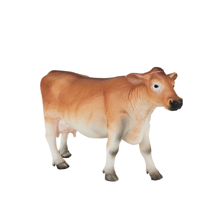 Jersey Cow