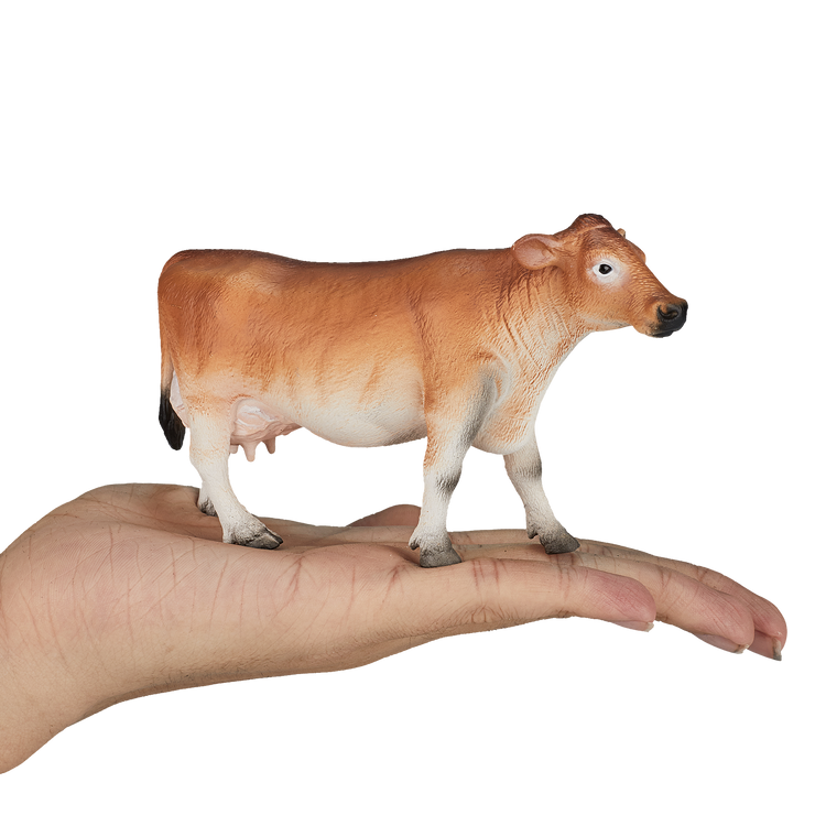 Jersey Cow