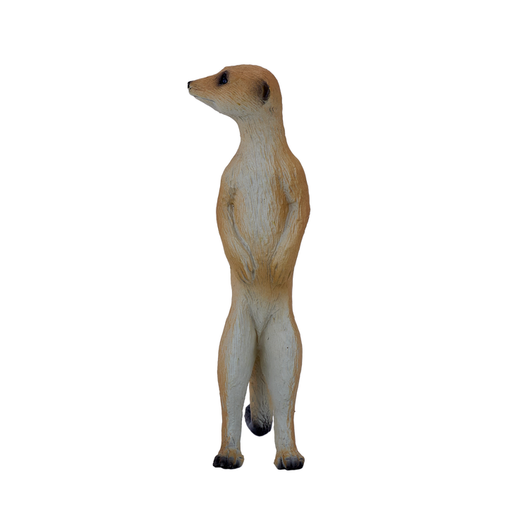 Meerkat