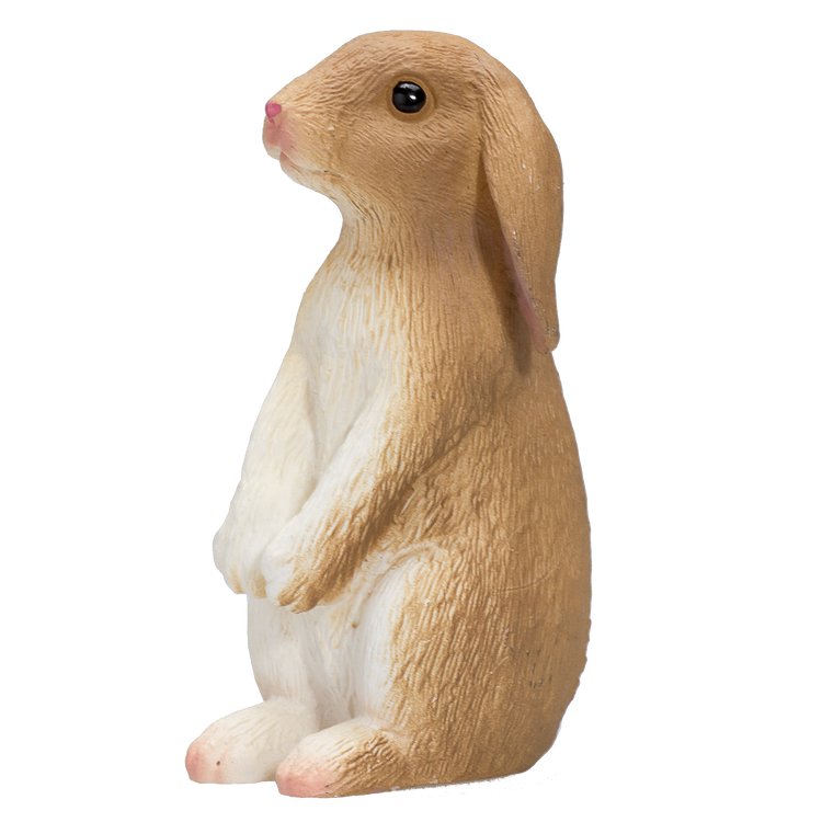 Rabbit Sitting