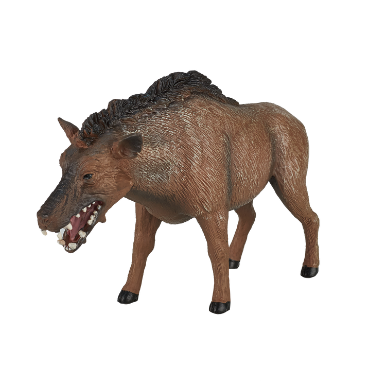 Entelodont Daeodon