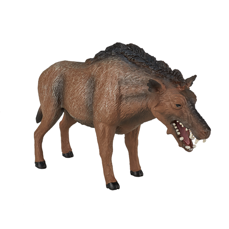 Entelodont Daeodon