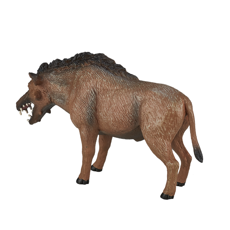 Entelodont Daeodon