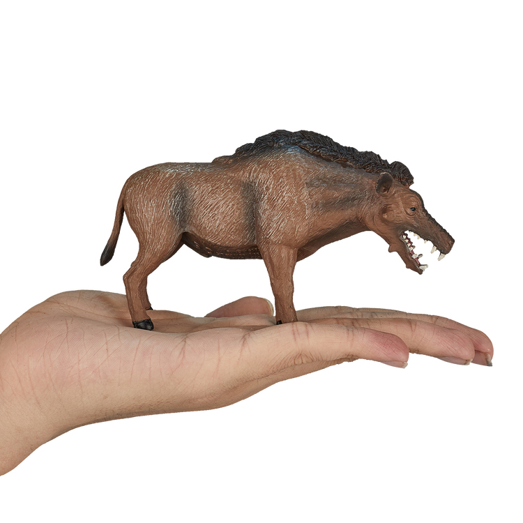 Entelodont Daeodon