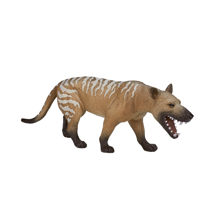 Hyaenodon Gigas