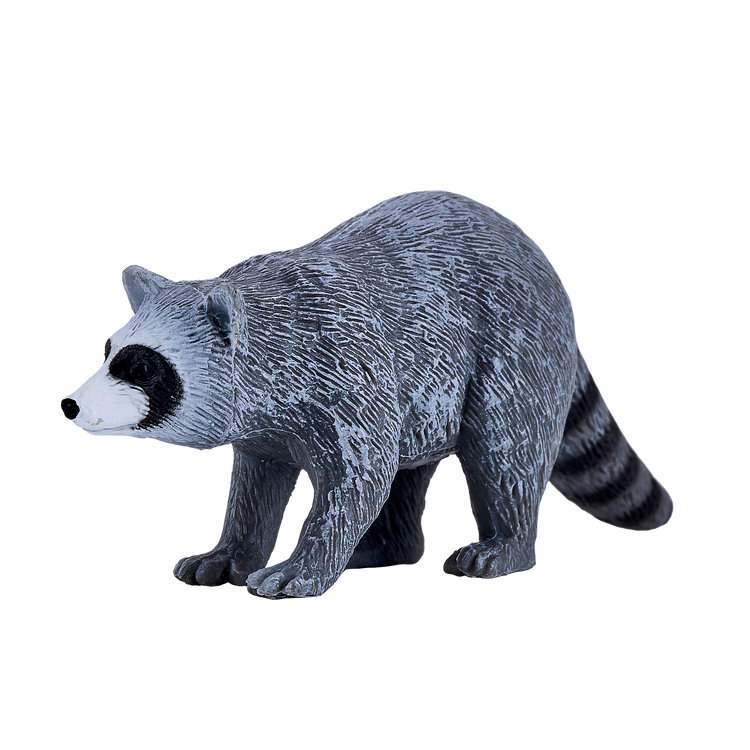 Raccoon