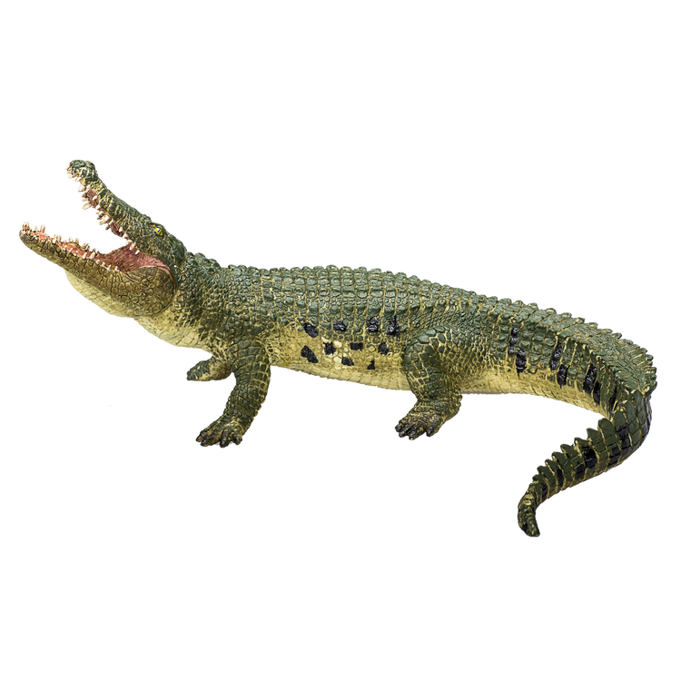 Crocodile with Articulated Jaw