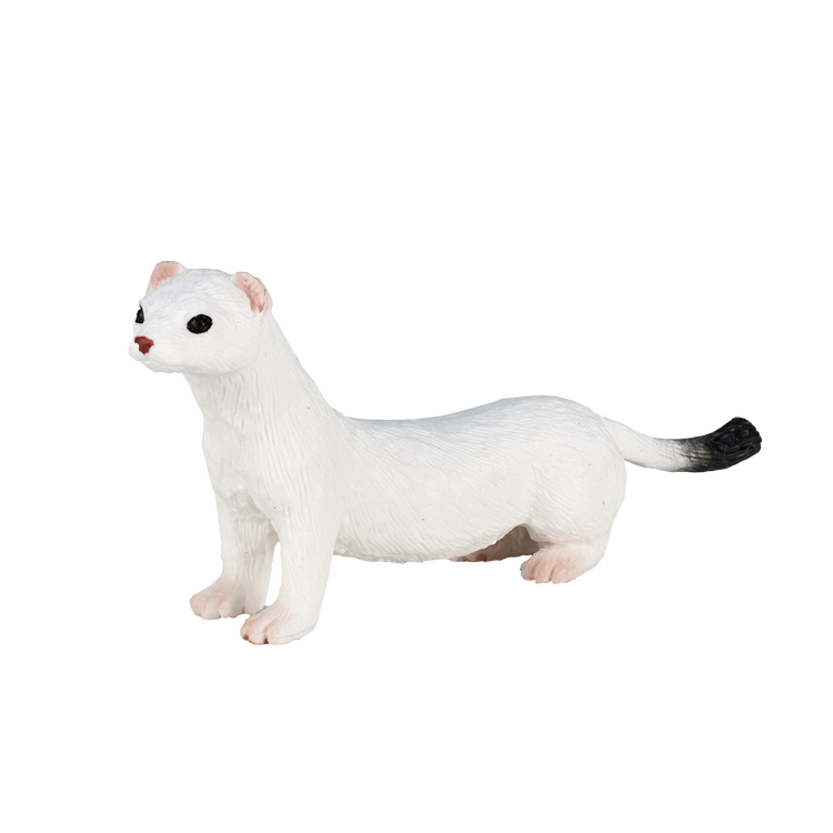 Ermine