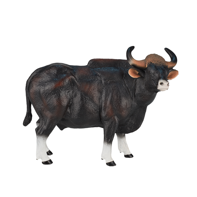 Gaur Bull