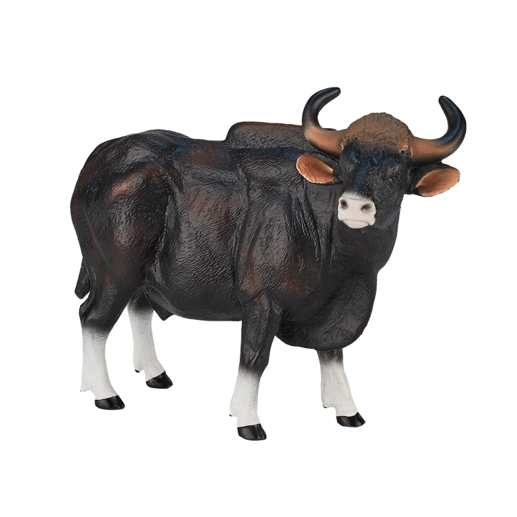 Gaur Bull