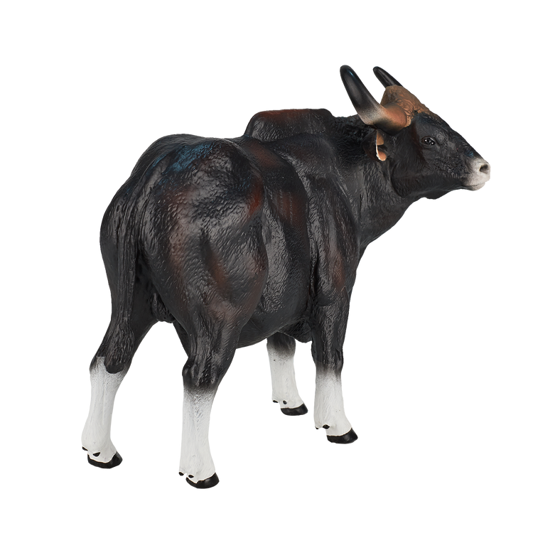 Gaur Bull