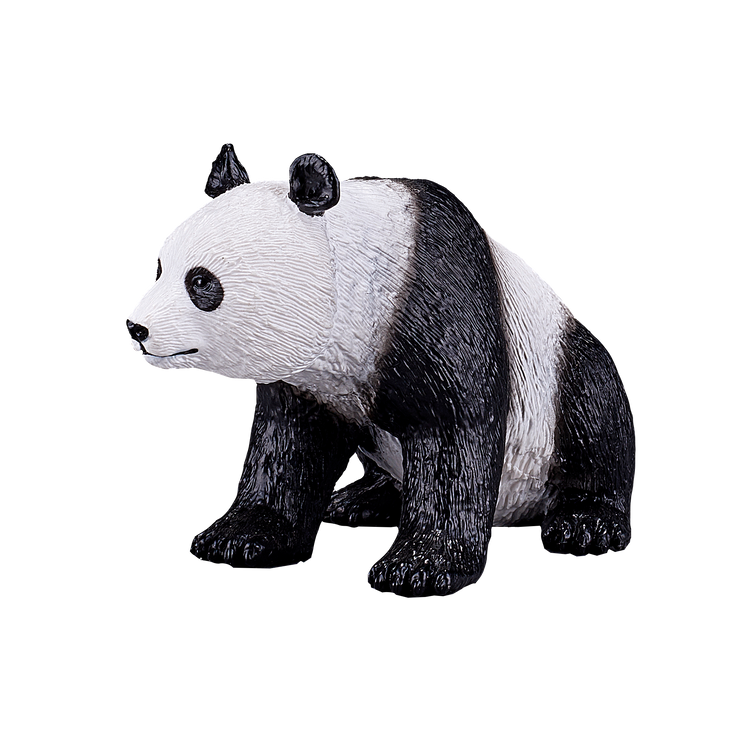 Giant Panda