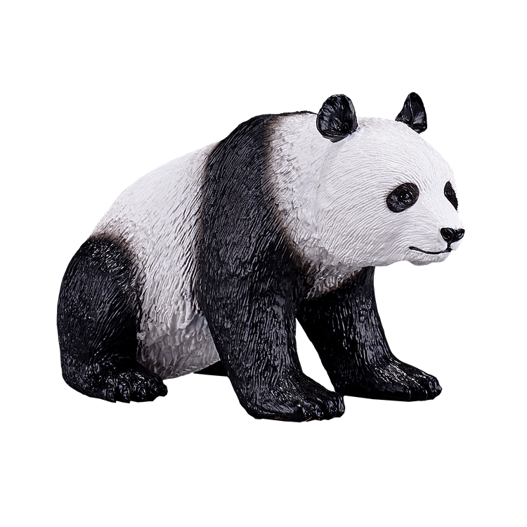 Giant Panda