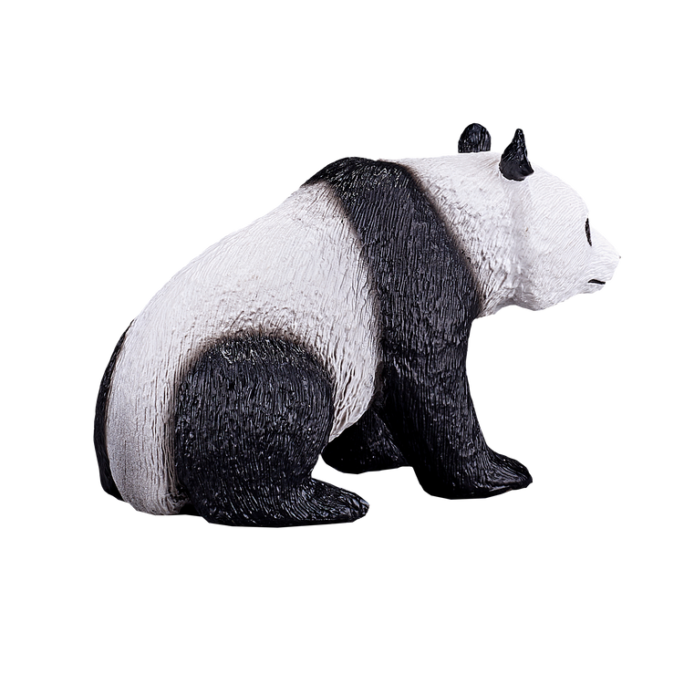 Giant Panda