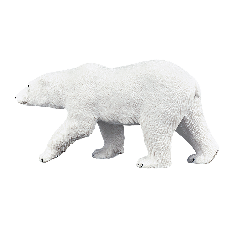 Polar Bear