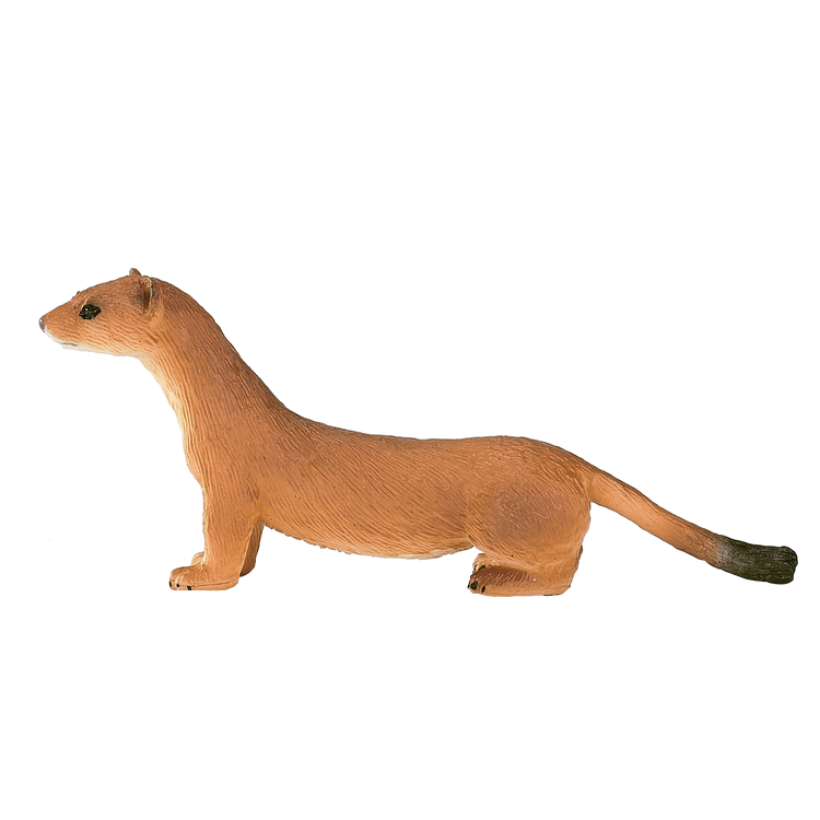 Stoat