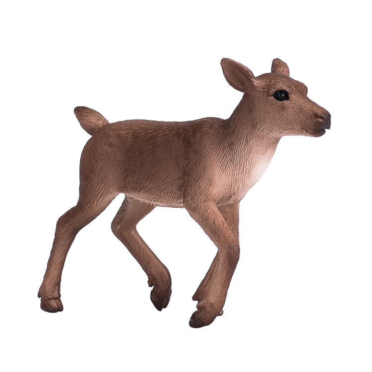 Reindeer Calf