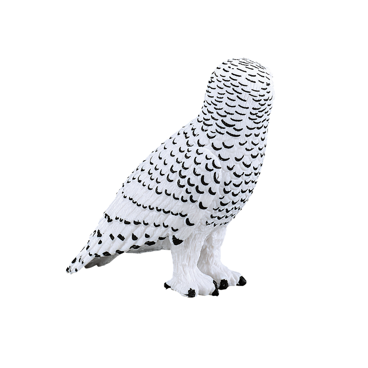 Snowy Owl