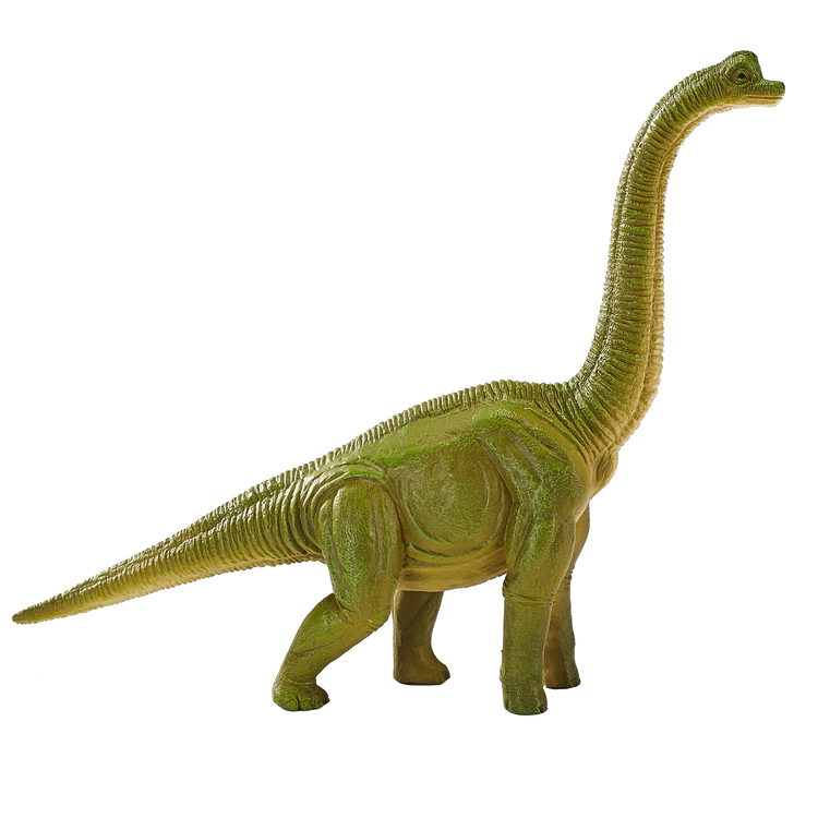 Brachiosaurus