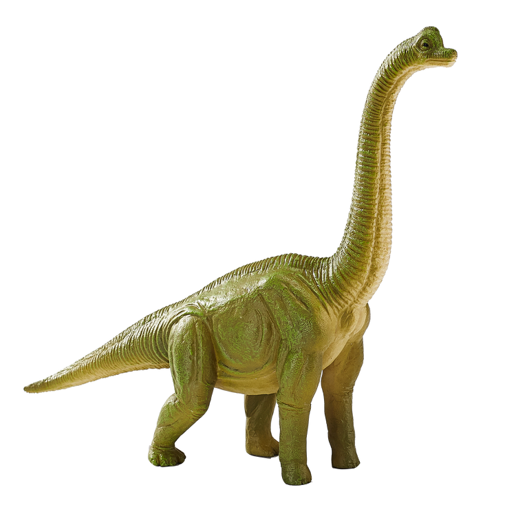 Brachiosaurus